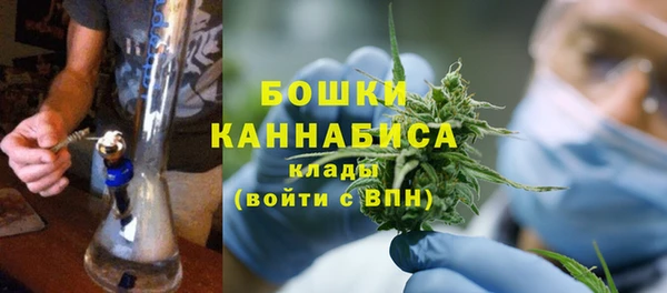 PSILOCYBIN Белая Холуница