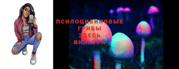 стаф Мегион