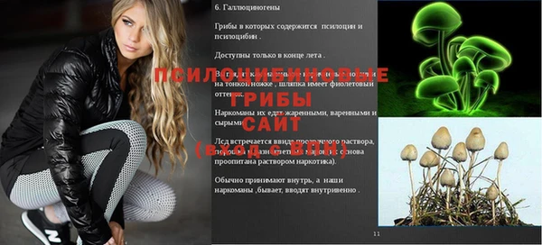 mdma Медвежьегорск