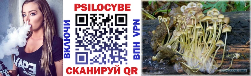 Галлюциногенные грибы Psilocybe  Монино 